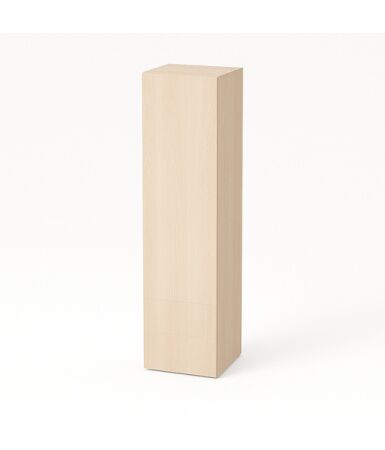 Szafa z szufladami, pojedynczymi drzwiami i drążkiem